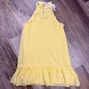 Lemon Girl Summer Hamptons Chic Swiss Dot Chiffon Ruffle Shift Dress Size 8 NWT